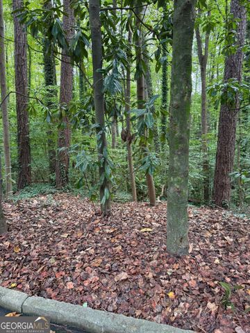 1095 Nawench Drive, Atlanta, GA 30327