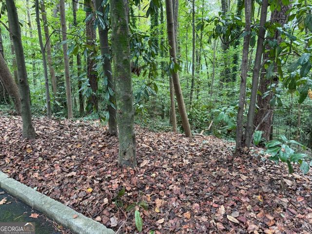 1095 Nawench Drive, Atlanta, GA 30327