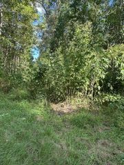 TBD Cr 2166 Teresa Ln Lane, Cleveland, TX 77327