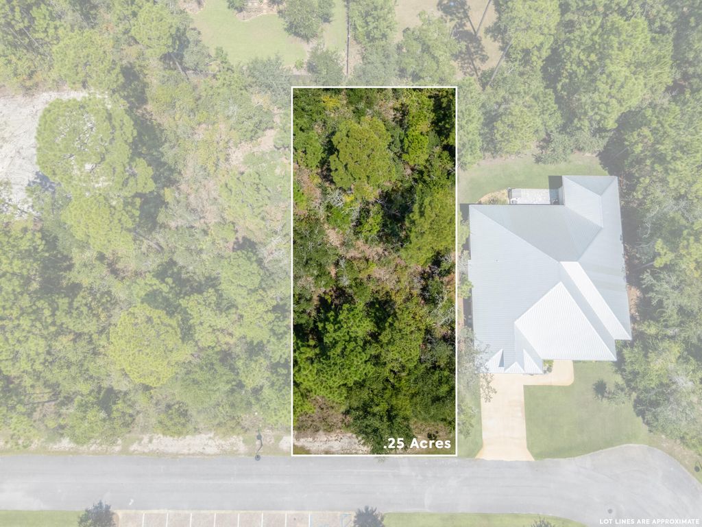 53 Sun Bear Circle, Freeport, FL 32439