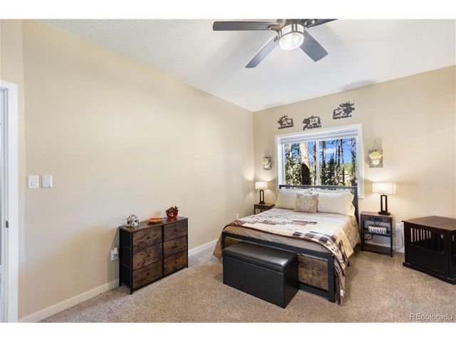 3115 Regent Dr, Woodland Park, CO 80863