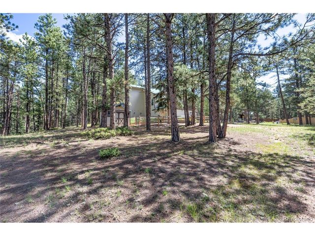 3115 Regent Dr, Woodland Park, CO 80863