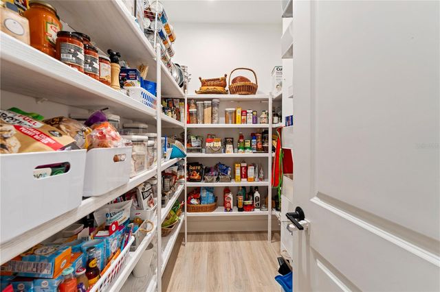 2368 HIGH TIDES WAY, Wesley Chapel, FL 33543