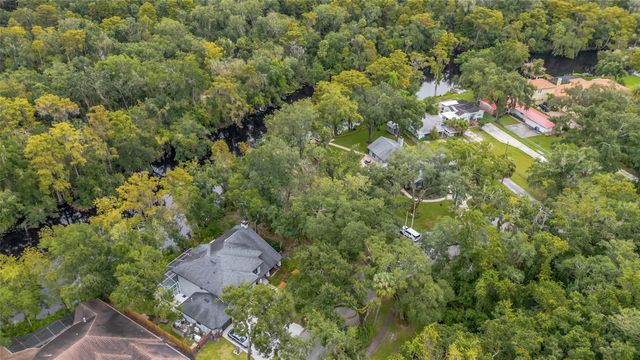 11731 GAIL DRIVE, Temple Terrace, FL 33617