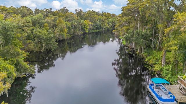 11731 GAIL DRIVE, Temple Terrace, FL 33617
