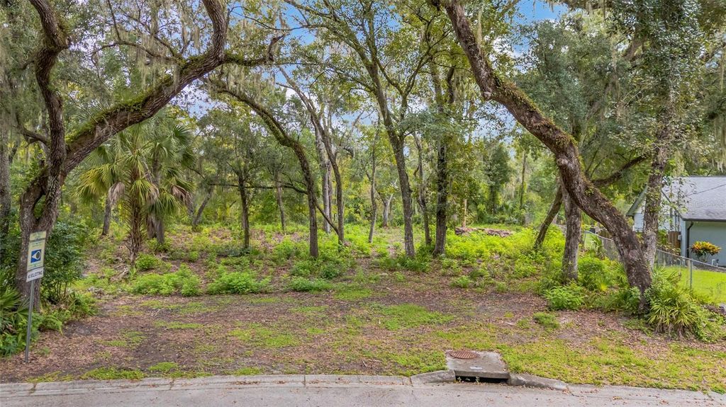 11731 GAIL DRIVE, Temple Terrace, FL 33617
