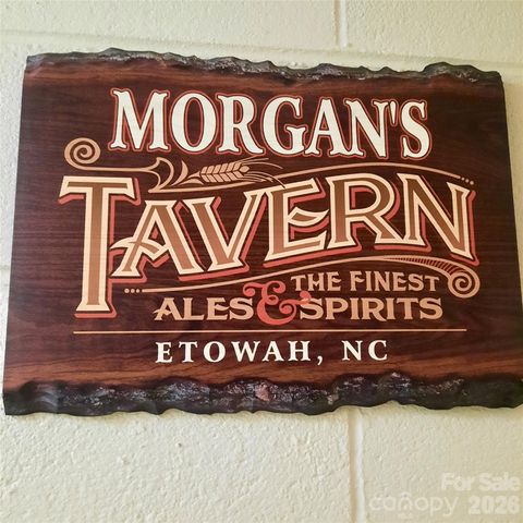 9 Firestone Court, Etowah, NC 28729