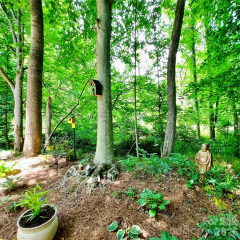 9 Firestone Court, Etowah, NC 28729