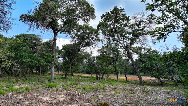 Tract 17 Sandstone Ln, Seguin, TX 78155