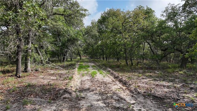 Tract 17 Sandstone Ln, Seguin, TX 78155