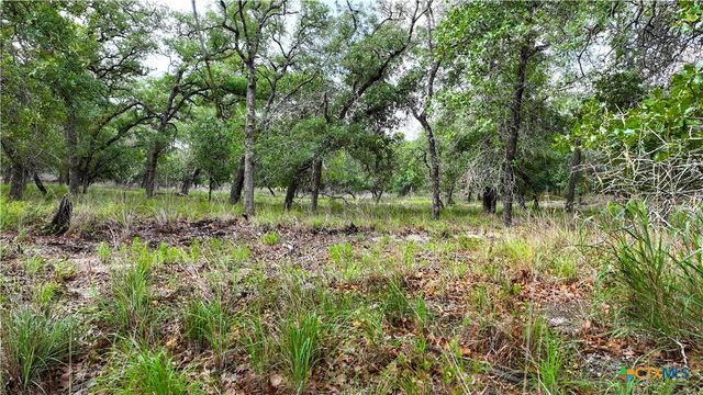 Tract 17 Sandstone Ln, Seguin, TX 78155