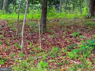 CUMBERLAND RD, Springfield, WV 26763
