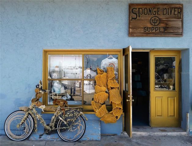 1250 S PINELLAS AVENUE 1008, Tarpon Springs, FL 34689