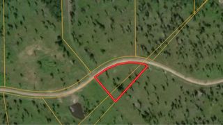 Lot 13 Eagle Falls Boulevard, Trinity, TX 75862