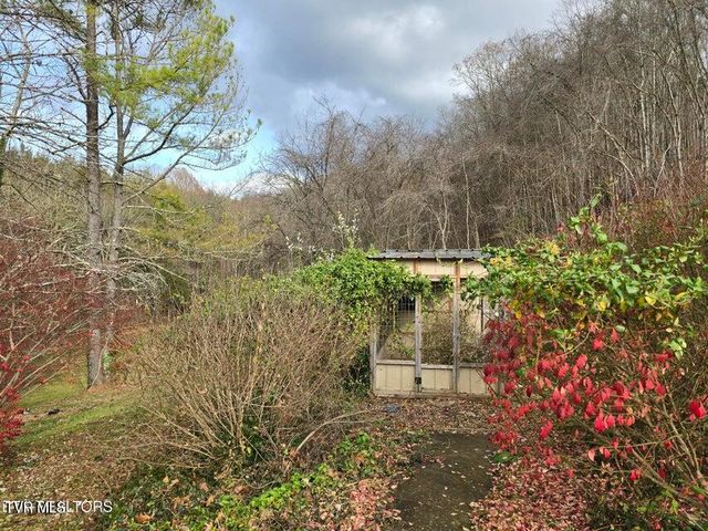 197 Wolfe Road, Sneedville, TN 37869