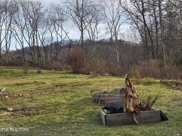 197 Wolfe Road, Sneedville, TN 37869