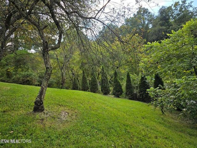 197 Wolfe Road, Sneedville, TN 37869