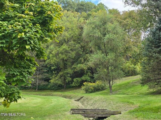 197 Wolfe Road, Sneedville, TN 37869