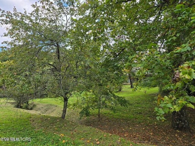 197 Wolfe Road, Sneedville, TN 37869