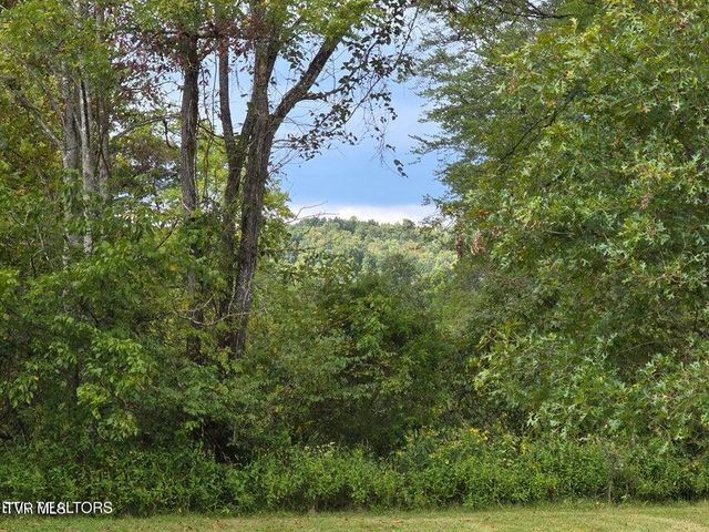 197 Wolfe Road, Sneedville, TN 37869