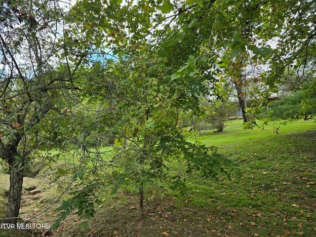 197 Wolfe Road, Sneedville, TN 37869