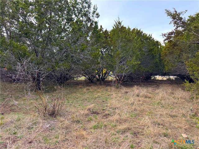 1645 Blueridge Drive, Canyon Lake, TX 78133