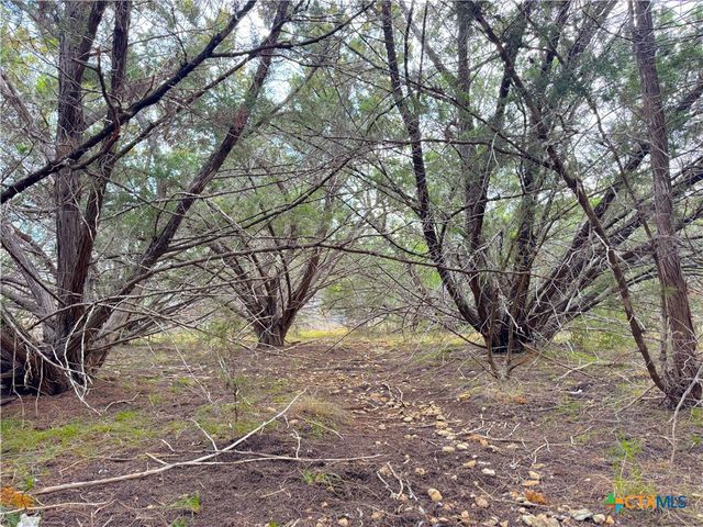 1645 Blueridge Drive, Canyon Lake, TX 78133