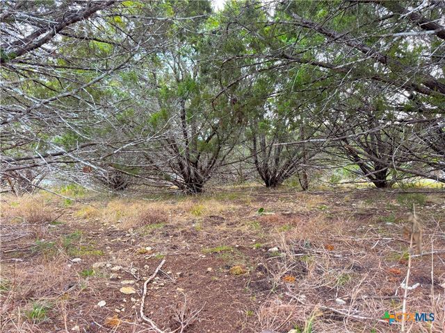 1645 Blueridge Drive, Canyon Lake, TX 78133