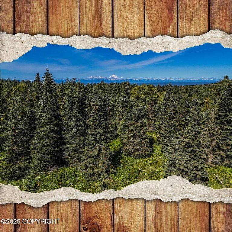 15466 Tovarish Road, Ninilchik, AK 99639