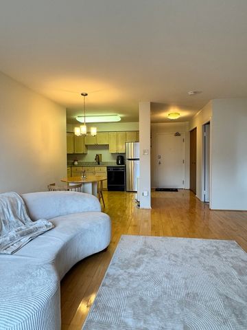 201 S Maple Avenue 411, Oak Park, IL 60302