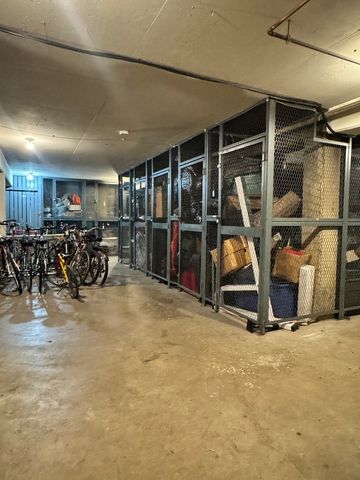 201 S Maple Avenue 411, Oak Park, IL 60302