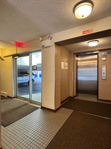 201 S Maple Avenue 411, Oak Park, IL 60302