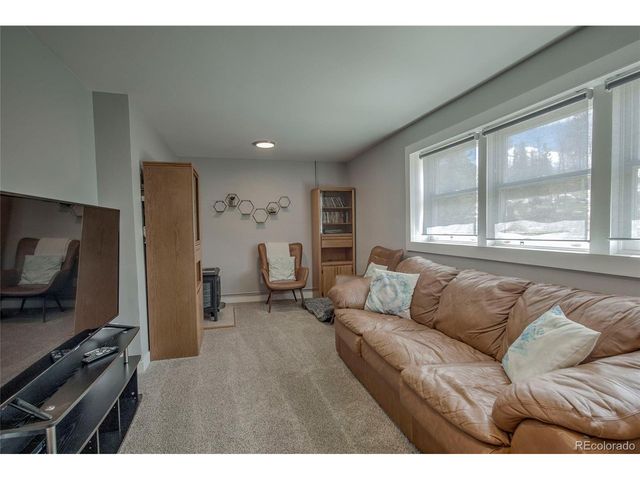 472 Ryan Gulch Rd, Silverthorne, CO 80498
