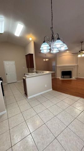 25219 Spring Iris Lane, Katy, TX 77494
