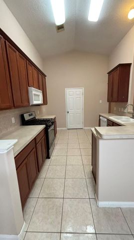 25219 Spring Iris Lane, Katy, TX 77494