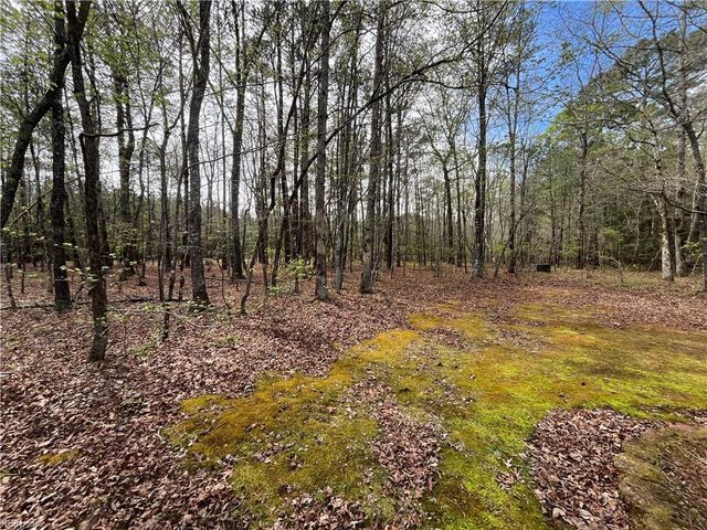 15211 Strawberry Plains Rd, Ivor, VA 23866