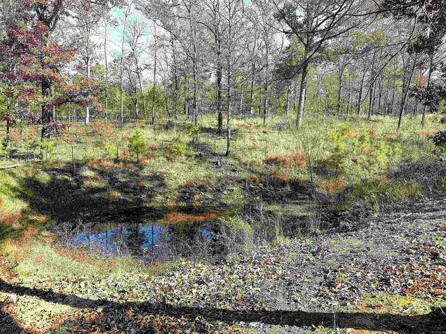 192 Lone Pine Road N, Greers Ferry, AR 72067