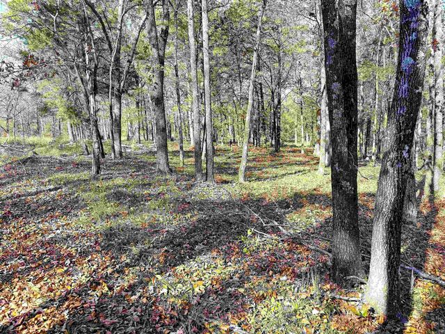 192 Lone Pine Road N, Greers Ferry, AR 72067