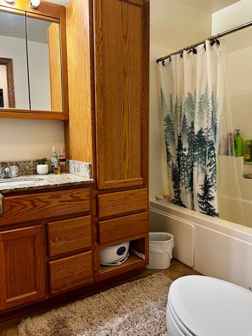 15 Dinosaur Road, Wilmington, IL 60481