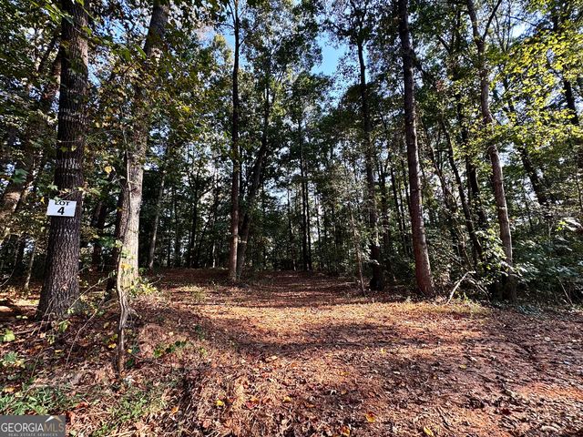 427 Kinney Creek Lane, Pendergrass, GA 30567