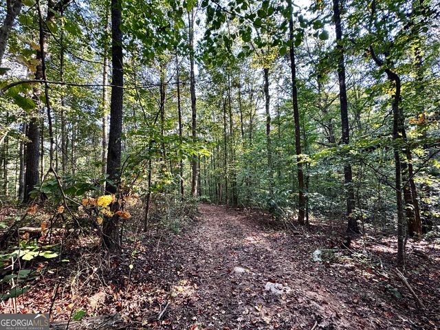 427 Kinney Creek Lane, Pendergrass, GA 30567