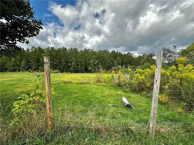 9648 Mcwhorter Road, North Dansville, NY 14437