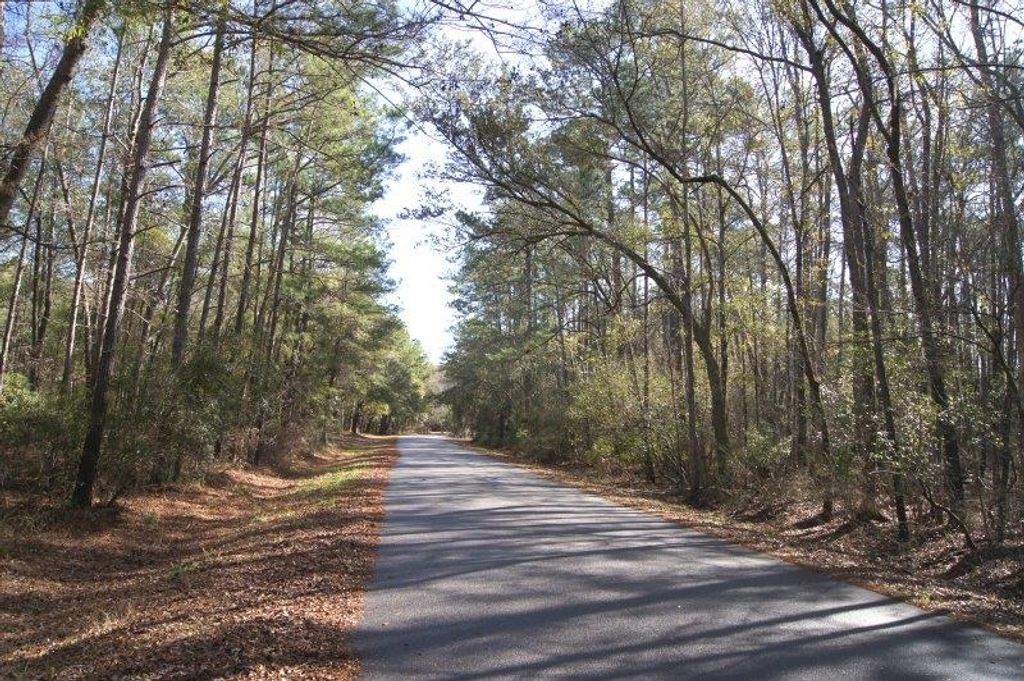 Lot 26 Crow Hill Dr., Georgetown, SC 29440 — photo 2