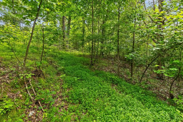 0 Cloud 9 Lane, Flintstone, GA 30725