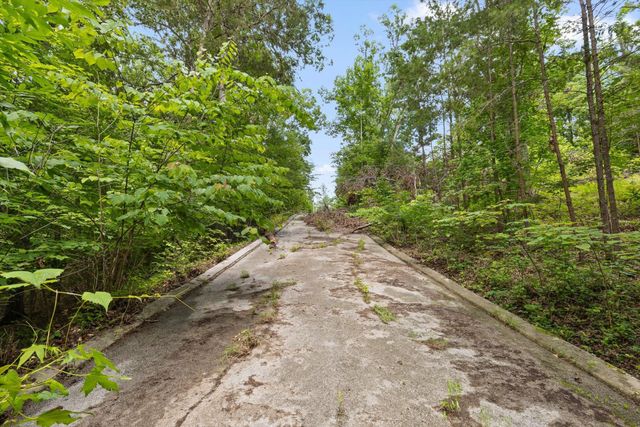 0 Cloud 9 Lane, Flintstone, GA 30725