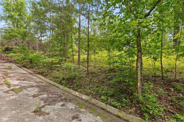 0 Cloud 9 Lane, Flintstone, GA 30725