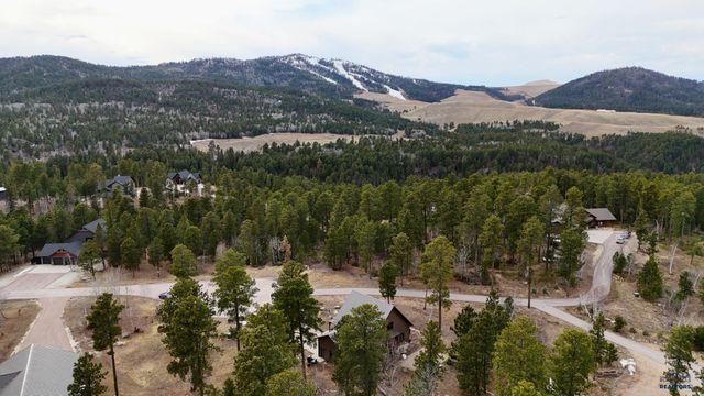 21244 RUBYS WAY, Lead, SD 57754