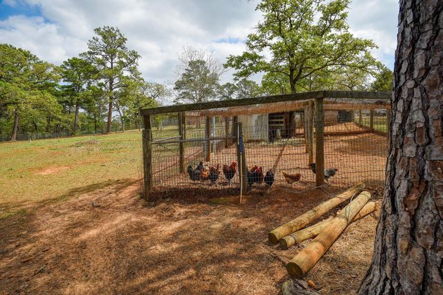 254 Copeland Hill RD, Smithville, TX 78957