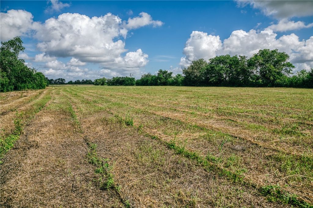 TBD FM 60, Snook, TX 77878 — photo 5