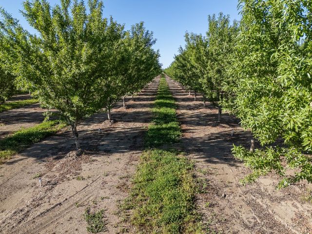 11270 Craig Rd, Live Oak, CA 95953